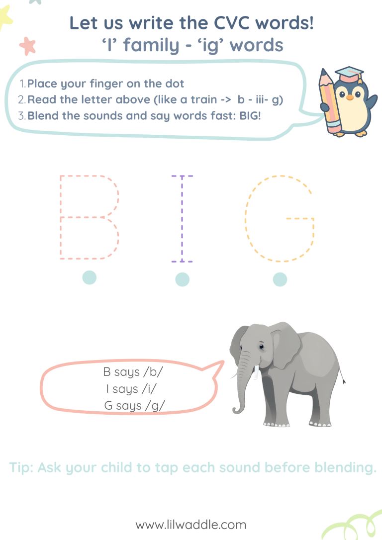 CVC worksheet - I family - ig words - BIG