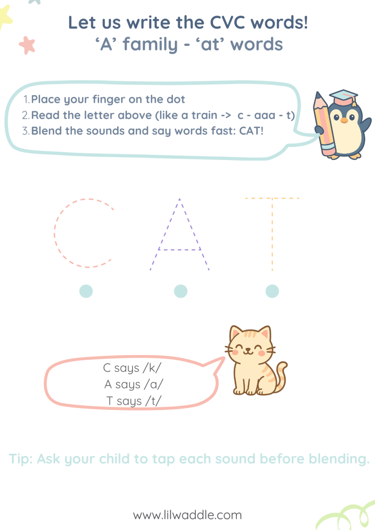 CVC worksheets - A family - AT words - CAT