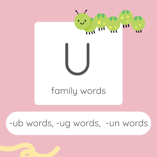 CVC writing worksheet AEIOU family words